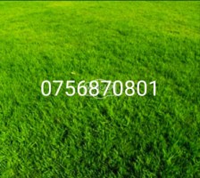 teren-intravilan-s-361-mp-zona-popa-sapca-0