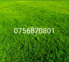 teren-intravilan-in-hudum-zona-biserici