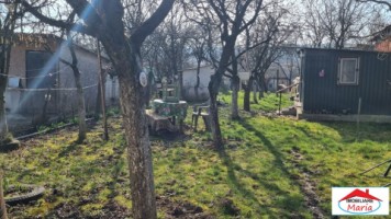 teren-intravilan-in-viile-satu-mare-23000-euro-6