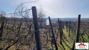 teren-intravilan-in-viile-satu-mare-23000-euro-2