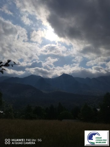 teren-intravilan-bustenizona-zamora-1