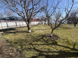 teren-800-mp-si-anexa-gospodareasca-catamarasti-deal-8