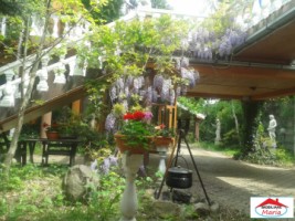 casa-solida-cu-teren-719-mp-in-piata-titulescu-1