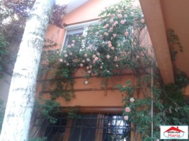 casa-solida-cu-teren-719-mp-in-piata-titulescu-4