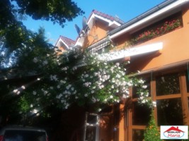 casa-solida-cu-teren-719-mp-in-piata-titulescu-3