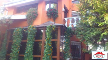 casa-solida-cu-teren-719-mp-in-piata-titulescu-12