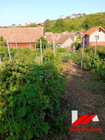 casa-saseasca-cu-teren-2000-mp-cu-dublu-acces-de-vanzare-in-hamba-27