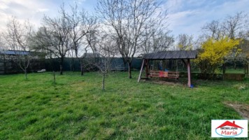 casa-in-micula-cu-teren-34-arii-2