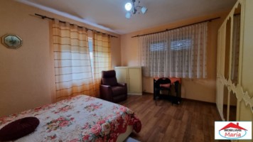 casa-in-micula-cu-teren-34-arii-9