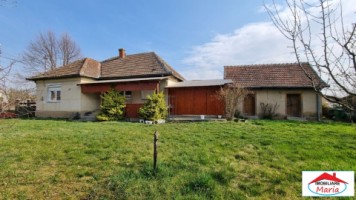 casa-in-micula-cu-teren-34-arii-3