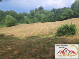 teren-intravilan-in-campulung-de-7684-mpcompus-din-2-loturi-alipite-deschidere-stradala-70mpret-7euromp-5