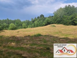 teren-intravilan-in-campulung-de-7684-mpcompus-din-2-loturi-alipite-deschidere-stradala-70mpret-7euromp-4