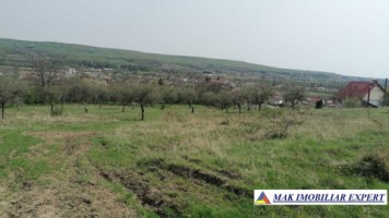 de-vanzare-teren-5000-mp-intravilan-in-stalpeni-arges-2