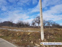 de-vanzare-teren-5000-mp-intravilan-in-stalpeni-arges-6