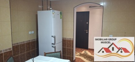 vanzare-apartament-cu-3-camere-decomandat-centrala-termica-noua-aer-conditionat-la-etaj-2-confort-1-la-pretul-de-38000-euro-negociabil-10