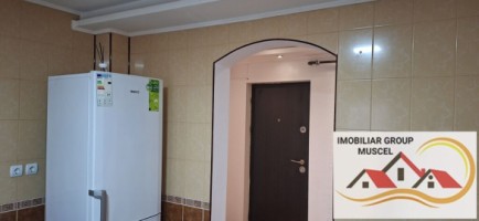 vanzare-apartament-cu-3-camere-decomandat-centrala-termica-noua-aer-conditionat-la-etaj-2-confort-1-la-pretul-de-38000-euro-negociabil-14