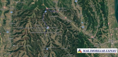 padure-225-ha-de-vanzare-in-dragasani-valcea-4