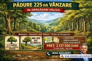 padure-225-ha-de-vanzare-in-dragasani-valcea-0