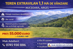 vand-teren-extravilan-11-ha-in-nucsoara-arges