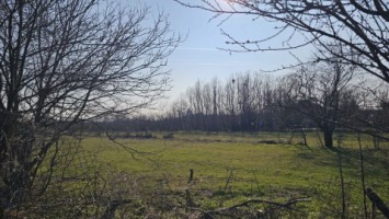 baicoi-tufeni-intravilan-6076-mp2-deschideri-55000-euro-2