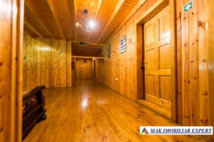 vila-pensiune-11-camere-teren-14-ha-rucar-arges-29