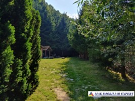 vila-pensiune-11-camere-teren-14-ha-rucar-arges-41
