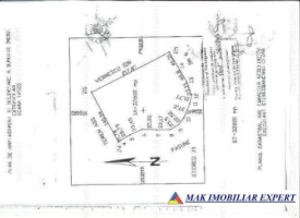 teren-extravilan-328-ha-de-vanzare-in-ghimpati-giurgiu-22