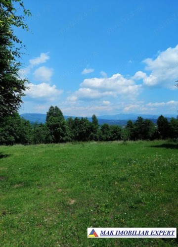 teren-extravilan-4900-mp-in-albestii-de-muscel-arges