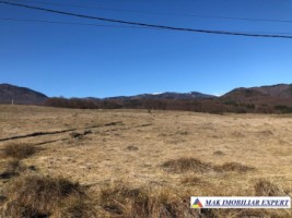 de-vanzare-teren-125-ha-intravilan-in-nucsoara-arges-0