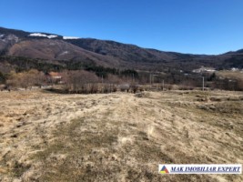 de-vanzare-teren-125-ha-intravilan-in-nucsoara-arges-1