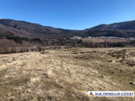 de-vanzare-teren-125-ha-intravilan-in-nucsoara-arges-2