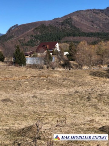 de-vanzare-teren-125-ha-intravilan-in-nucsoara-arges-6