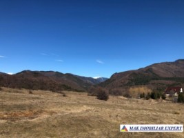 de-vanzare-teren-125-ha-intravilan-in-nucsoara-arges-3