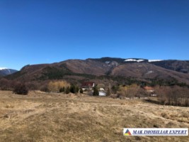 de-vanzare-teren-125-ha-intravilan-in-nucsoara-arges-10