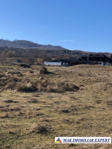 de-vanzare-teren-125-ha-intravilan-in-nucsoara-arges-11