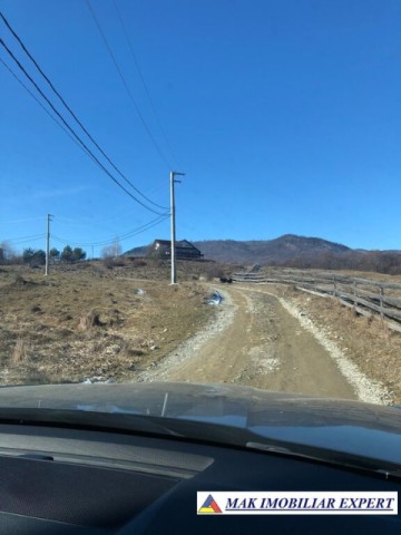 de-vanzare-teren-125-ha-intravilan-in-nucsoara-arges-12