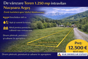 de-vanzare-teren-125-ha-intravilan-in-nucsoara-arges-14