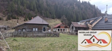 vanzare-casa-in-satic-cu-3-camere-si-bucatari-anexaimpreuna-cu-teren-intravilan-in-suprafata-de-2723-mp-la-pretul-de-65000-euro-negociabil-e-3