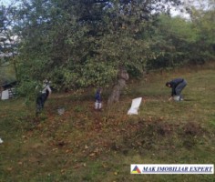 vand-teren-3939-mp-intravilan-in-darmanesti-arges-0