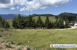 vand-teren-2000-mp-in-dealul-sasului-dambovicioara-arges-2