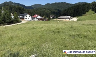 vand-teren-2000-mp-in-dealul-sasului-dambovicioara-arges