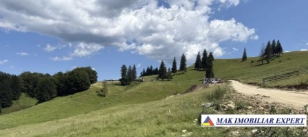 vand-teren-2000-mp-in-dealul-sasului-dambovicioara-arges-6