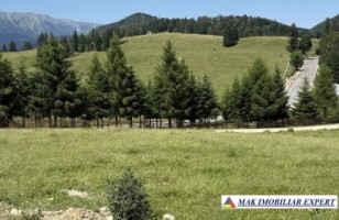 vand-teren-2000-mp-in-dealul-sasului-dambovicioara-arges-4