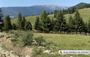 vand-teren-2000-mp-in-dealul-sasului-dambovicioara-arges-7