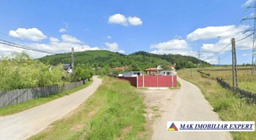 vand-loturi-de-teren-de-500-mp-in-grui-campulung-muscel-ag-3
