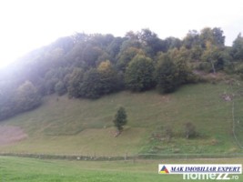 teren-12-ha-intravilan-in-ciocanu-dambovicioara-arges