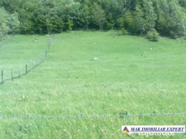teren-12-ha-intravilan-in-ciocanu-dambovicioara-arges-1