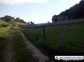 teren-12-ha-intravilan-in-ciocanu-dambovicioara-arges-2