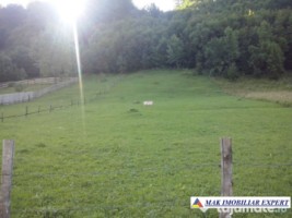 teren-12-ha-intravilan-in-ciocanu-dambovicioara-arges-3