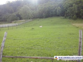teren-12-ha-intravilan-in-ciocanu-dambovicioara-arges-4